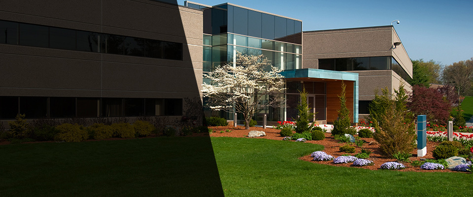 Waconia Landscapers