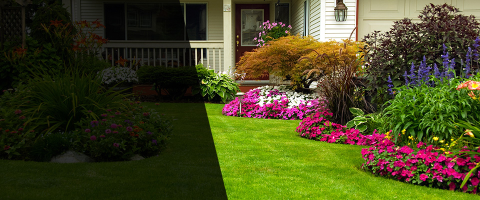 Waconia Landscapers