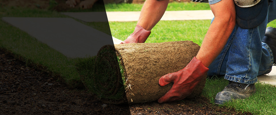 Waconia Landscapers